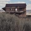 New Mexico